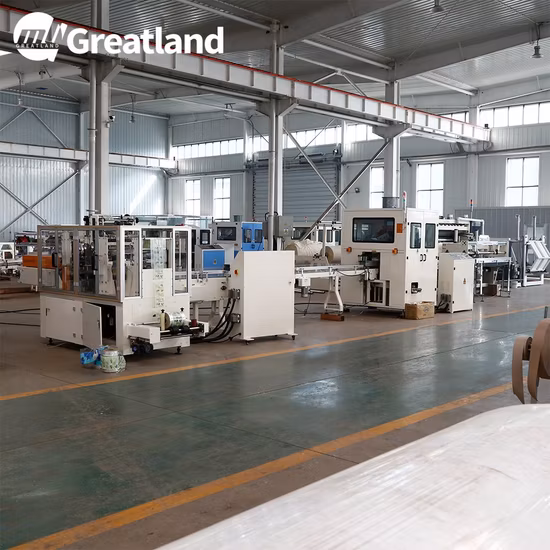 Machine de fabrication de papier de soie faciale automatique CE 10L avec fonction de gaufrage à vendre
